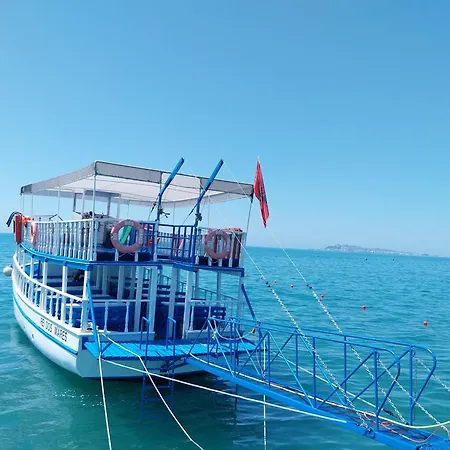 Danis 4*