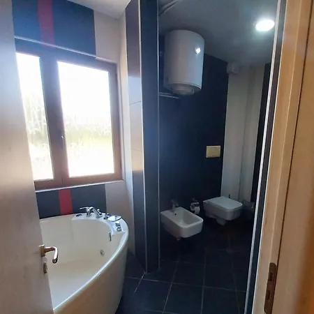 מלון Danis גולם